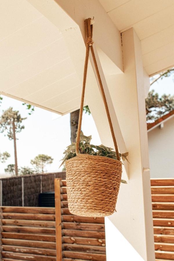 לנטון La Cabane De L'Estran Au Bord De Mer מראה חיצוני תמונה